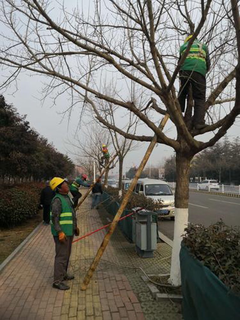 警惕交通设施误区：提升滨州城市形象的关键
